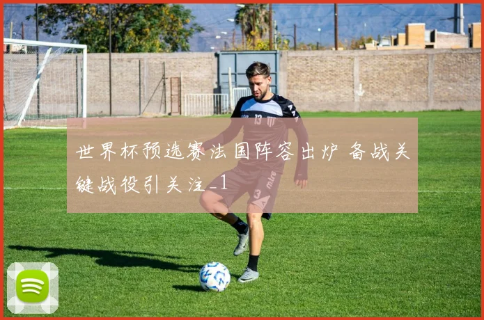 世界杯预选赛法国阵容出炉 备战关键战役引关注_1